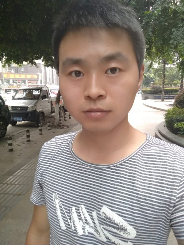 老虎养成猫的第一张照片--天津闪婚服务中心